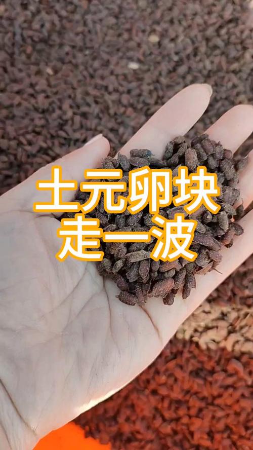 土元养殖:生态农业新风口,低成本高收益投资解析_养殖技术 - 田源三农网